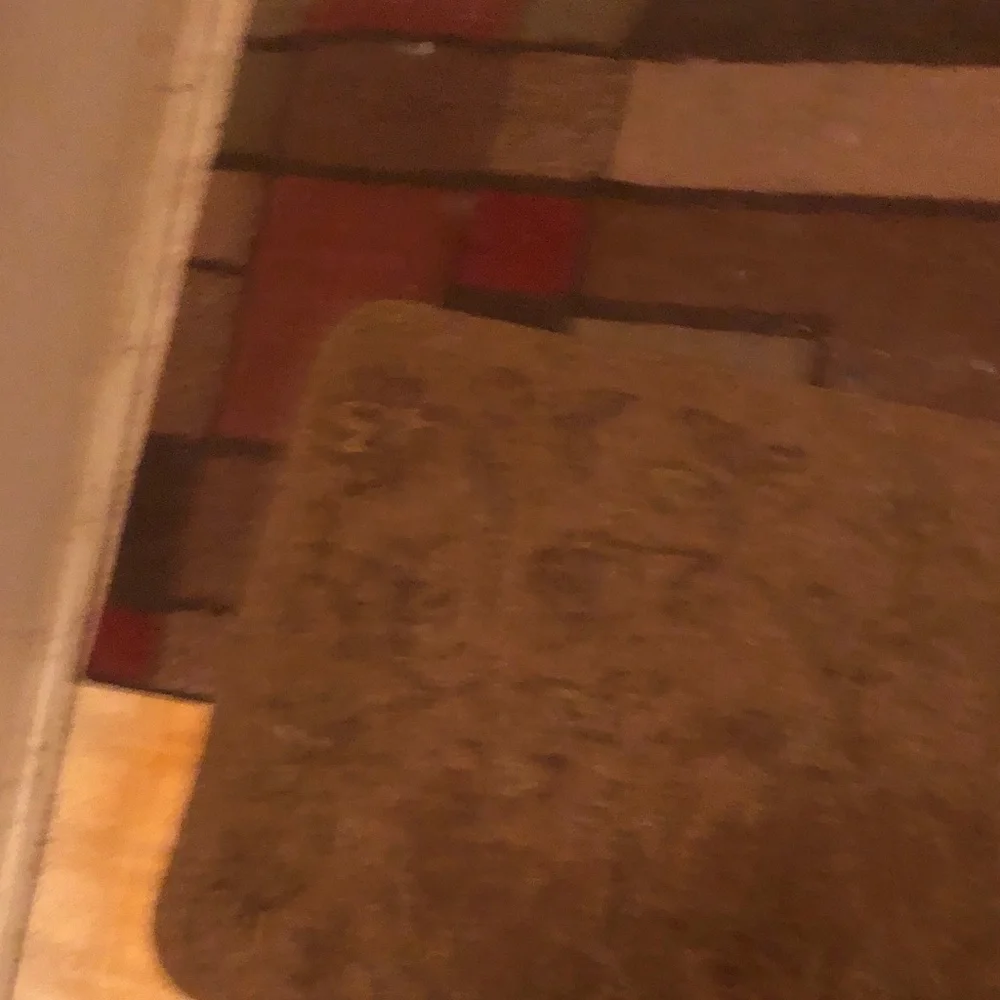 Brown Decorative Home Accent Rug - Neutral Entryway Mat